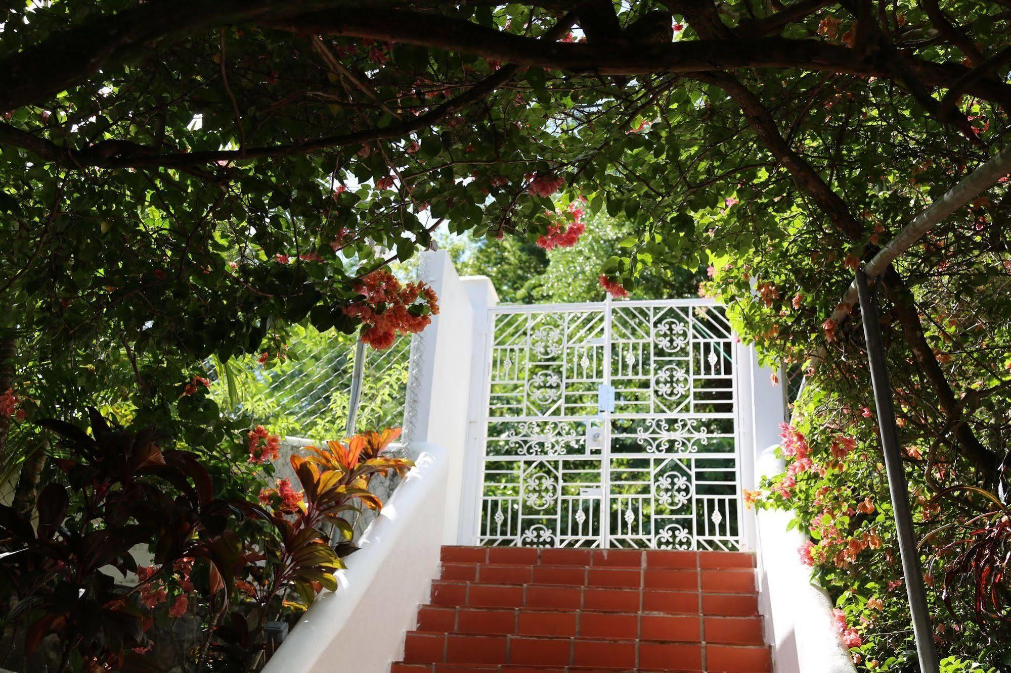 Marigot Palms Luxury Guesthouse Castries Dış mekan fotoğraf